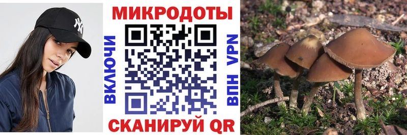 Псилоцибиновые грибы ЛСД  Бакал 