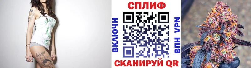 где найти наркотики  Бакал  Каннабис SATIVA & INDICA 